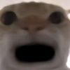 dyukyalgx8sd