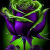 user2506819968214