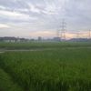 jelajah_alam20910
