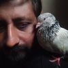 afshannaaz536