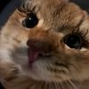 nadiheee_