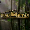 Tuan Hutan