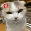 .nhii_11