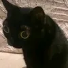 ihadtochangemynamebcrule