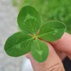 jassi...111