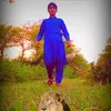 awalgullsahnwari