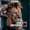 sunkoa.mamu.ebal.offc