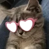 𝐈𝐤𝐲 ||`𝐩𝐫𝐞𝐬𝐞𝐭‘