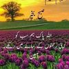 ahmidafzal