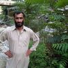 asghar.ali934