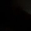 sadiya46725