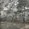 maylangthang719