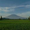 .wisang_geni