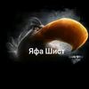 ponos_araba323