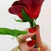 muhammadharbi73