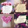 rehabrajab39