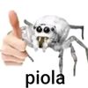 piola_593