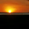 franciscopachecoa35