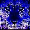 jessiebrown70530