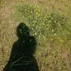 fio_dechat2301