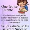 francisco.galeana3