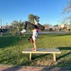 delfu_gimnasta