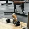 chymtapgym