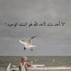qai.s8