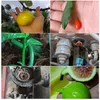 agrimechasix