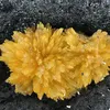 chaubuipt