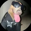 kkjhbvvhh