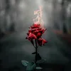 userrfgfd3mgo8