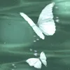 tranluungochan._