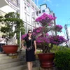 tructruc_26