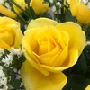 thanhdu258