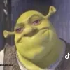 _bbiabuonia