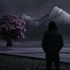 user7365486057226