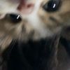 syaaaaa451