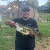 reel_bassin