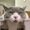 tranquynhfchi
