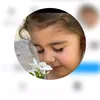 mnerahawez