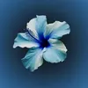 summer_l0ver2023
