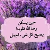 user8717205527619