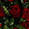 user1982481157784