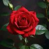 khanyi329