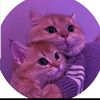 user3872163612132