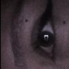 karol.lp03
