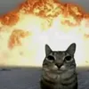 boss_boost