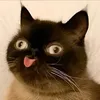 karat__k2