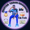 hamissouyaroniger227